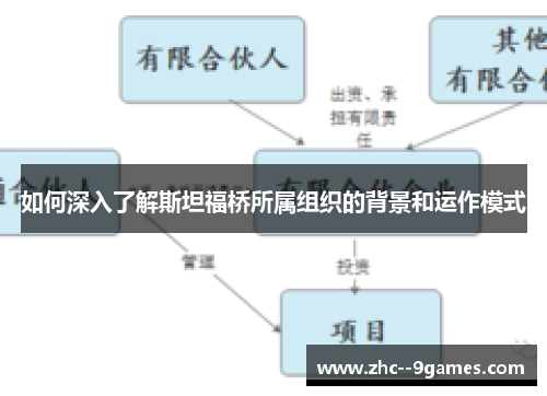 如何深入了解斯坦福桥所属组织的背景和运作模式